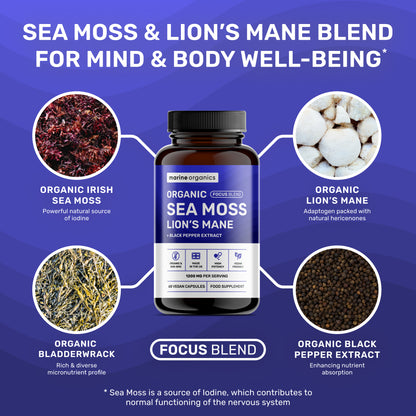 Organic Sea Moss & Lion's Mane