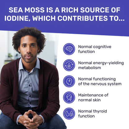 Organic Sea Moss & Lion's Mane